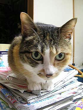 DSCN3003.jpg