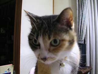 DSCN3002.jpg