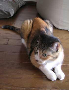 DSCN3004.jpg