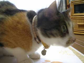 DSCN3011.jpg
