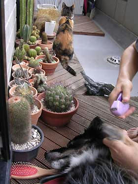 DSCN3016.jpg