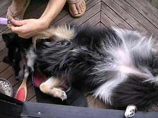 DSCN3015.jpg
