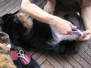 DSCN3014.jpg