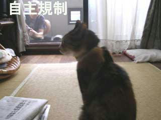 DSCN3013.jpg