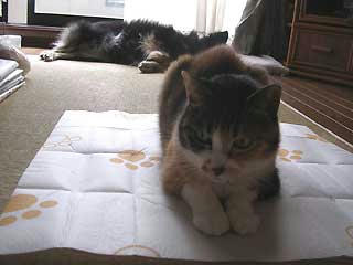 DSCN3026.jpg