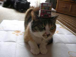 DSCN3027.jpg