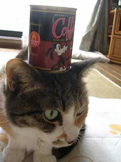 DSCN3038.jpg