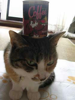 DSCN3040.jpg