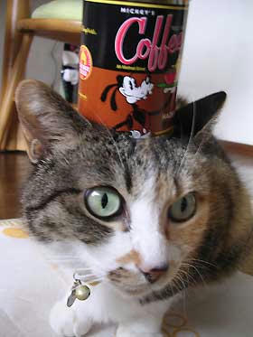 DSCN3043.jpg