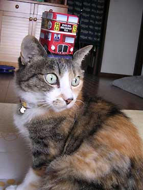 DSCN3051.jpg