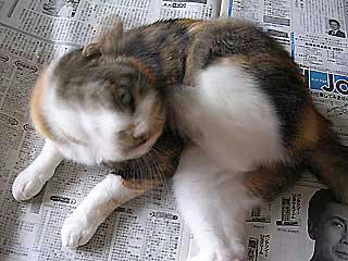 DSCN3070.jpg