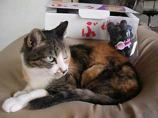 DSCN3085.jpg