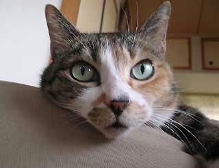 DSCN3079.jpg