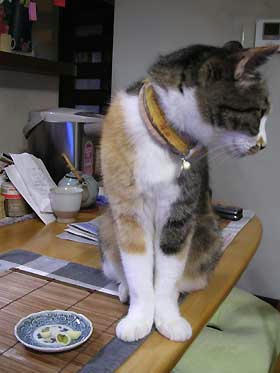 DSCN3093.jpg