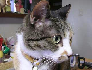 DSCN3095.jpg