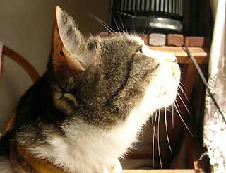 DSCN3063.jpg