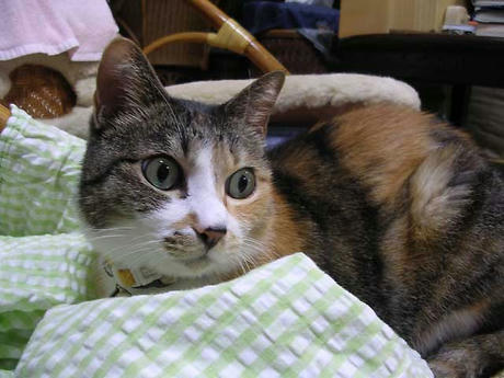 DSCN3127.jpg