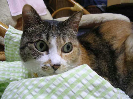 DSCN3128.jpg