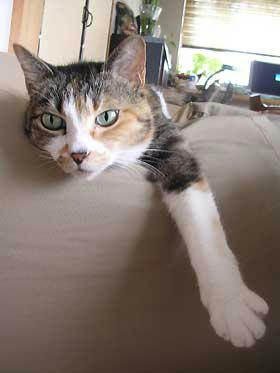 DSCN3078.jpg