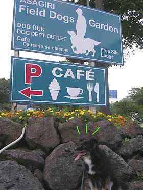 DSCN3203.jpg