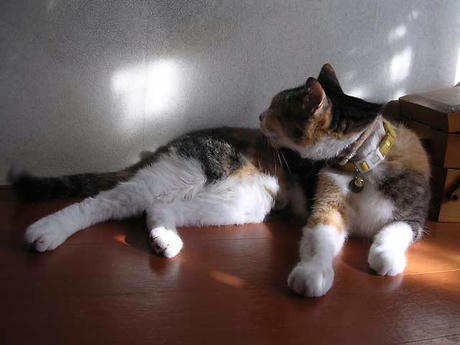 DSCN3239.jpg