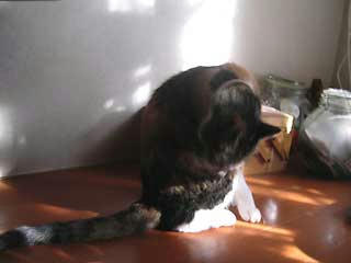 DSCN3231.jpg