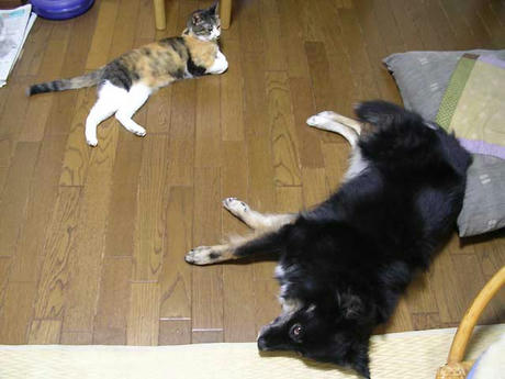 DSCN3250.jpg