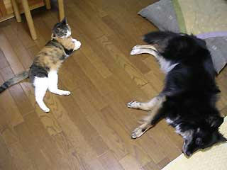 DSCN3249.jpg