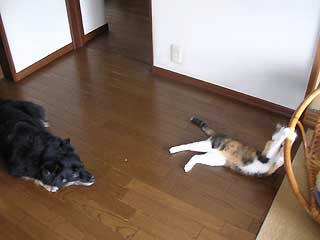 DSCN3245.jpg