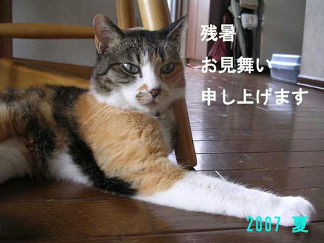 DSCN3107.jpg
