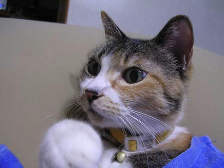 DSCN3221.jpg