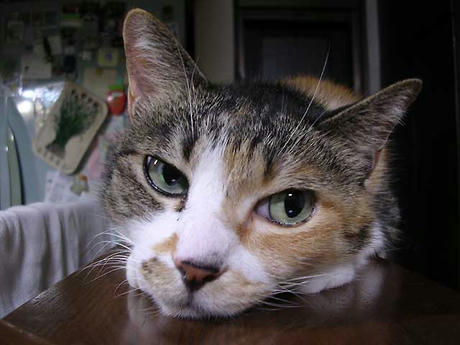 DSCN3252.jpg