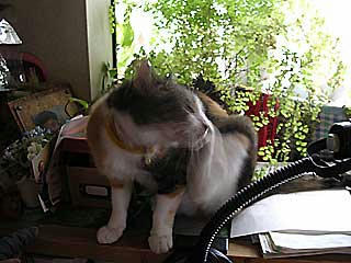 DSCN3258.jpg