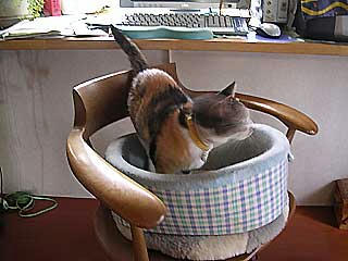 DSCN3260.jpg
