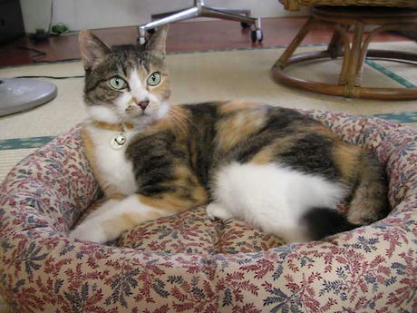DSCN3263.jpg