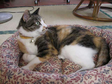 DSCN3266.jpg