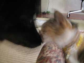 DSCN3270.jpg