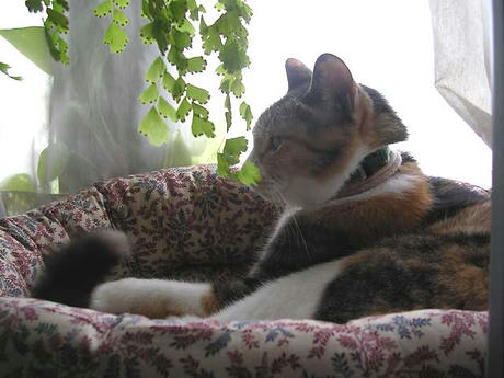 DSCN3288.jpg