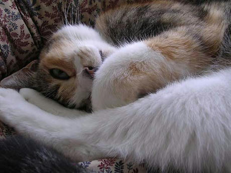 DSCN3292.jpg