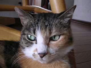 DSCN3108.jpg
