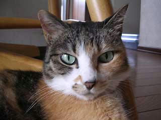 DSCN3109.jpg