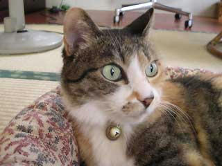 DSCN3272.jpg