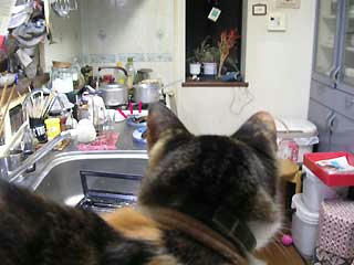 DSCN3346.jpg