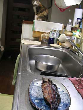DSCN3348.jpg