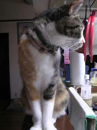 DSCN3349.jpg