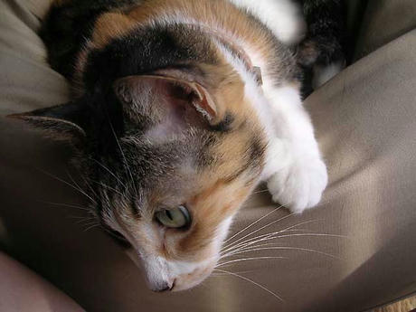 DSCN3317.jpg