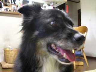 DSCN3333.jpg