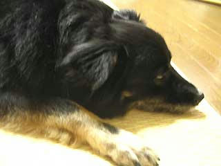 DSCN3376.jpg