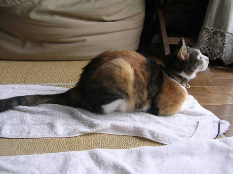 DSCN3404.jpg