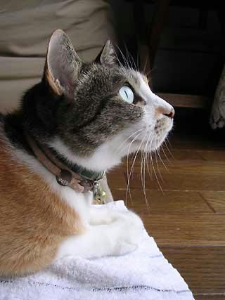 DSCN3407.jpg
